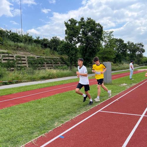 Bundesfinale Lidl-Schullauf 
