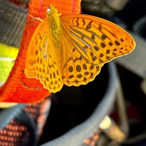 Sommersportwoche Faak