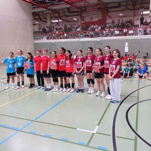 Minivolleyball 4