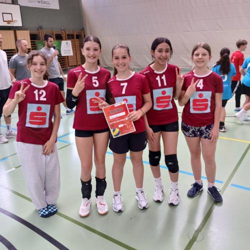 Minivolleyball 3