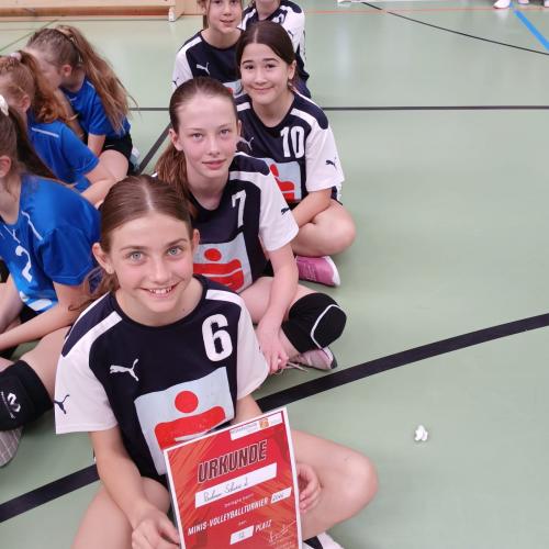 Minivolleyball 6